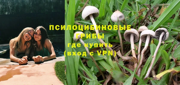дживик Алексин