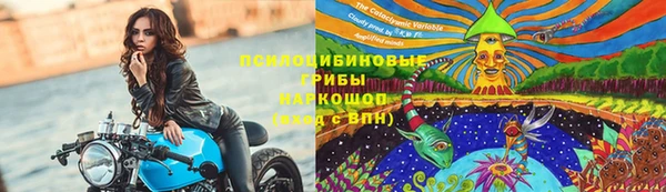 ешки Алексеевка
