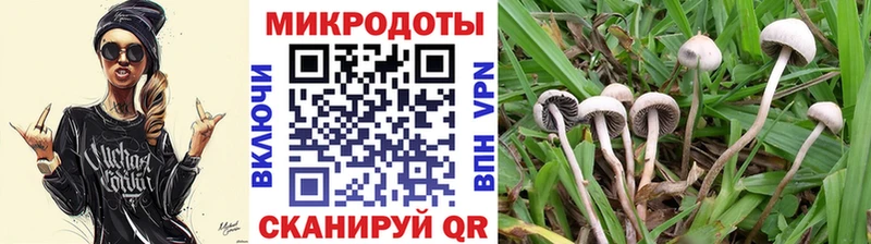 цены   Сатка  Псилоцибиновые грибы прущие грибы 