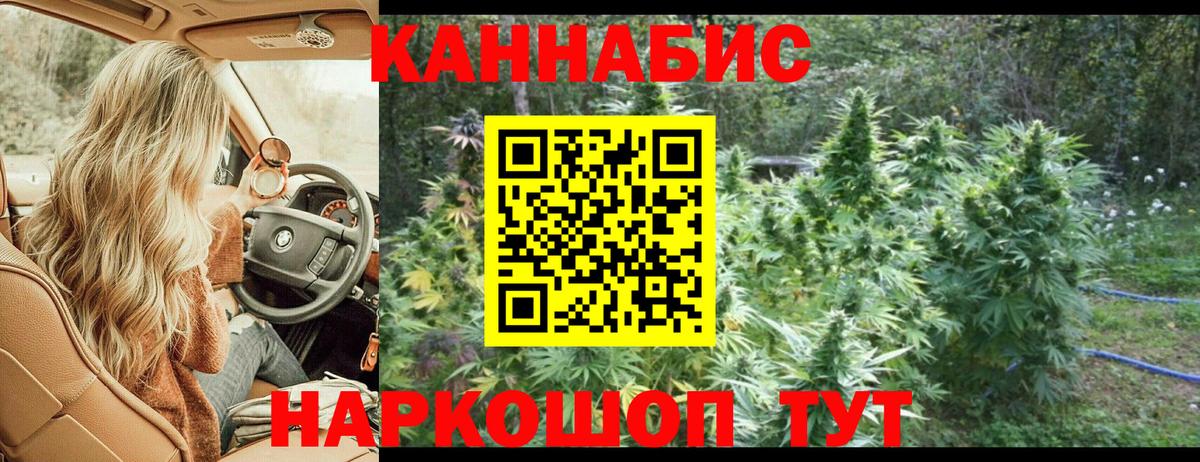 Шишки марихуана сатива Сатка